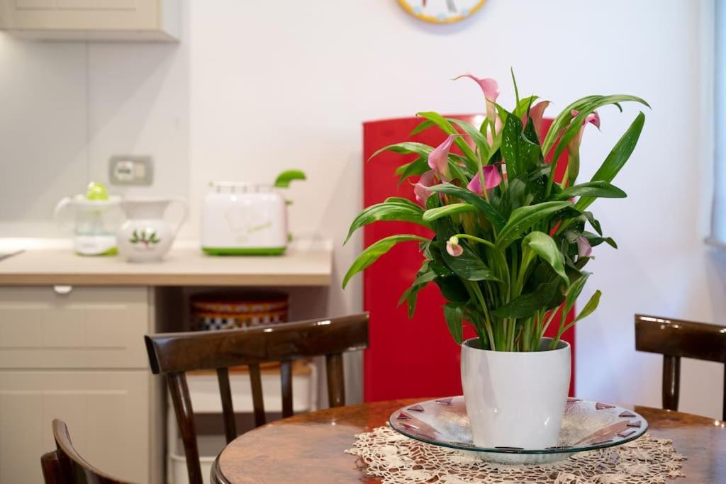 Casa Bouganville - St. Peter Romantic Apartment — Foto 1